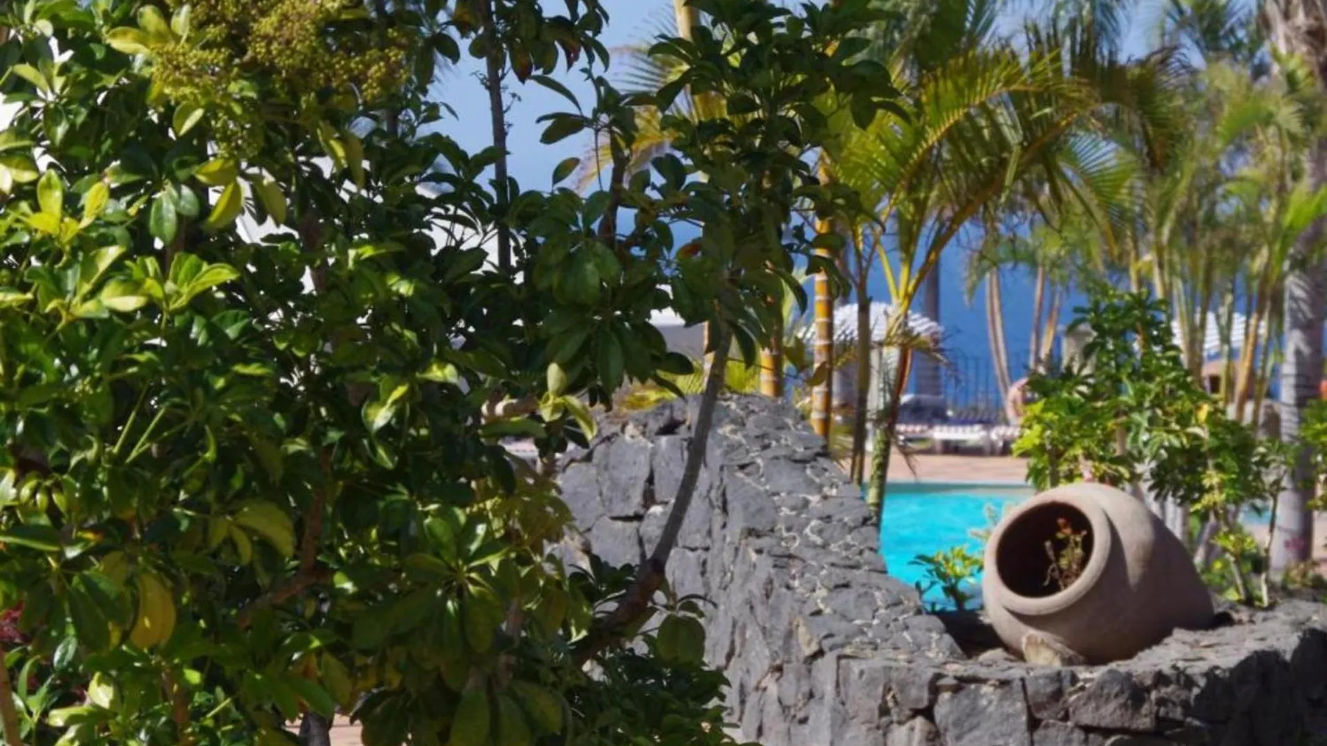 Apartamento Con Piscina Y Vistas Al Mar Sobre Acantilado Los Realejos